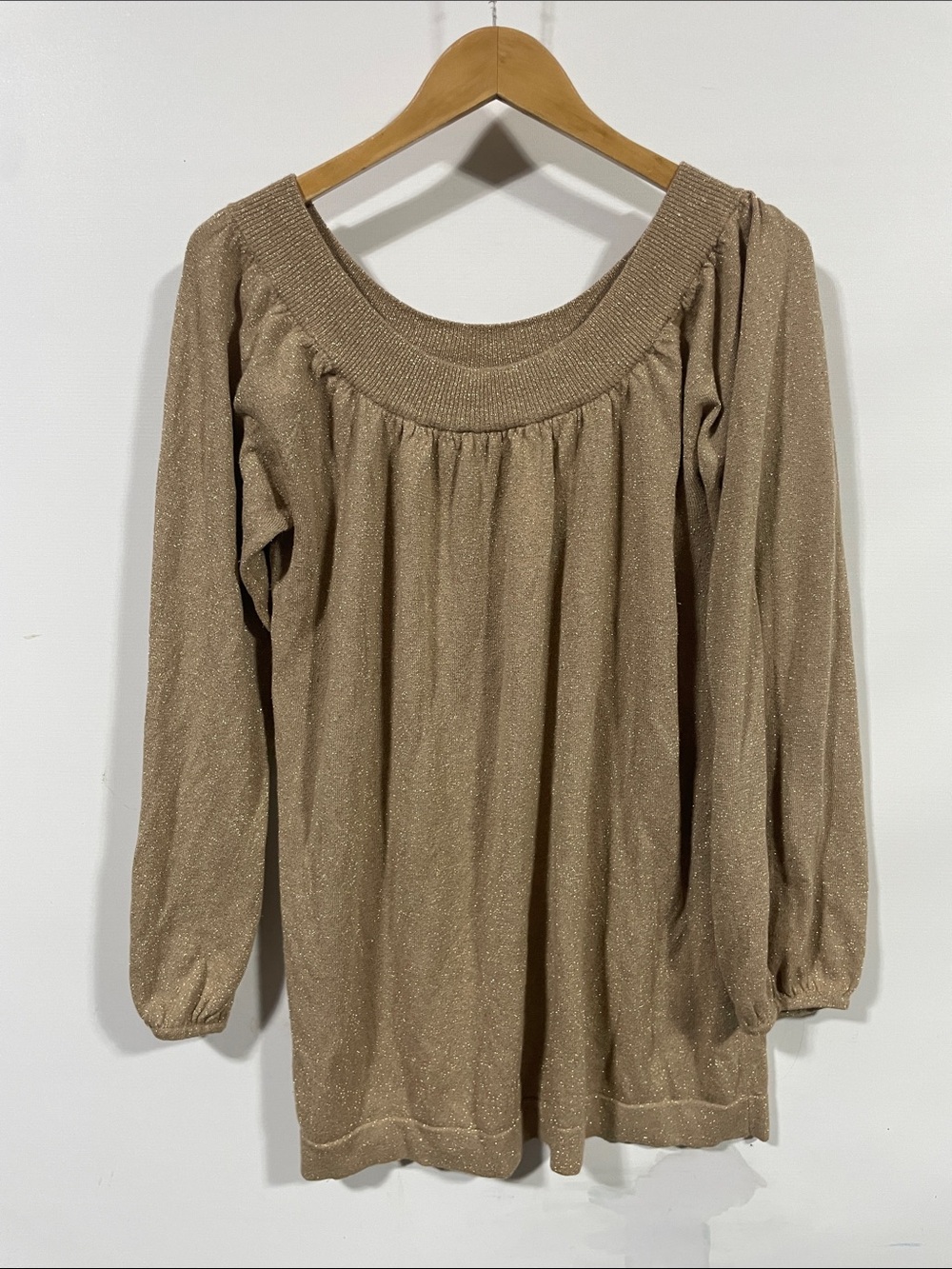 torrid Sparkle Scoop Neck Long Sleeve Top - Beige
